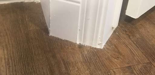 Home Builder «Scot Bilt Homes Inc», reviews and photos