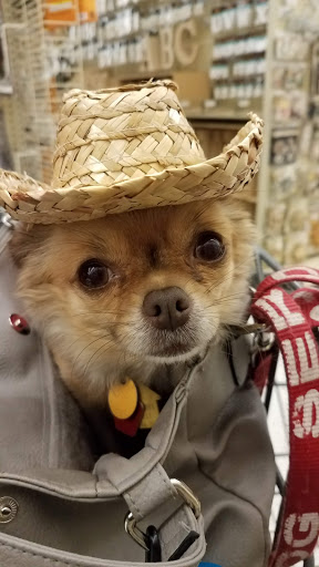 Craft Store «Hobby Lobby», reviews and photos, 6803 S 27th St, Franklin, WI 53132, USA