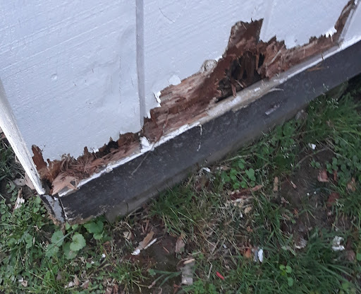 Pet Supply Store «Concord Pet Foods & Supplies», reviews and photos, 287 Christiana Rd, New Castle, DE 19720, USA