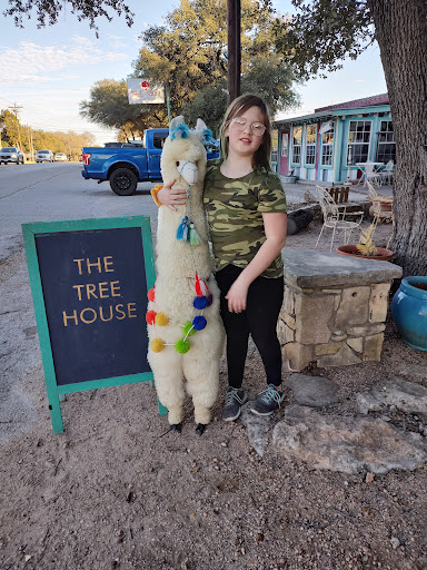 Furniture Store «Shop the Tree House», reviews and photos, 13615 Ranch Rd 12, Wimberley, TX 78676, USA