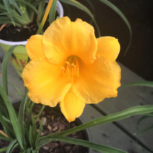 Funeral Home «Parrott Funeral Home», reviews and photos, 8355 Senoia Rd, Fairburn, GA 30213, USA