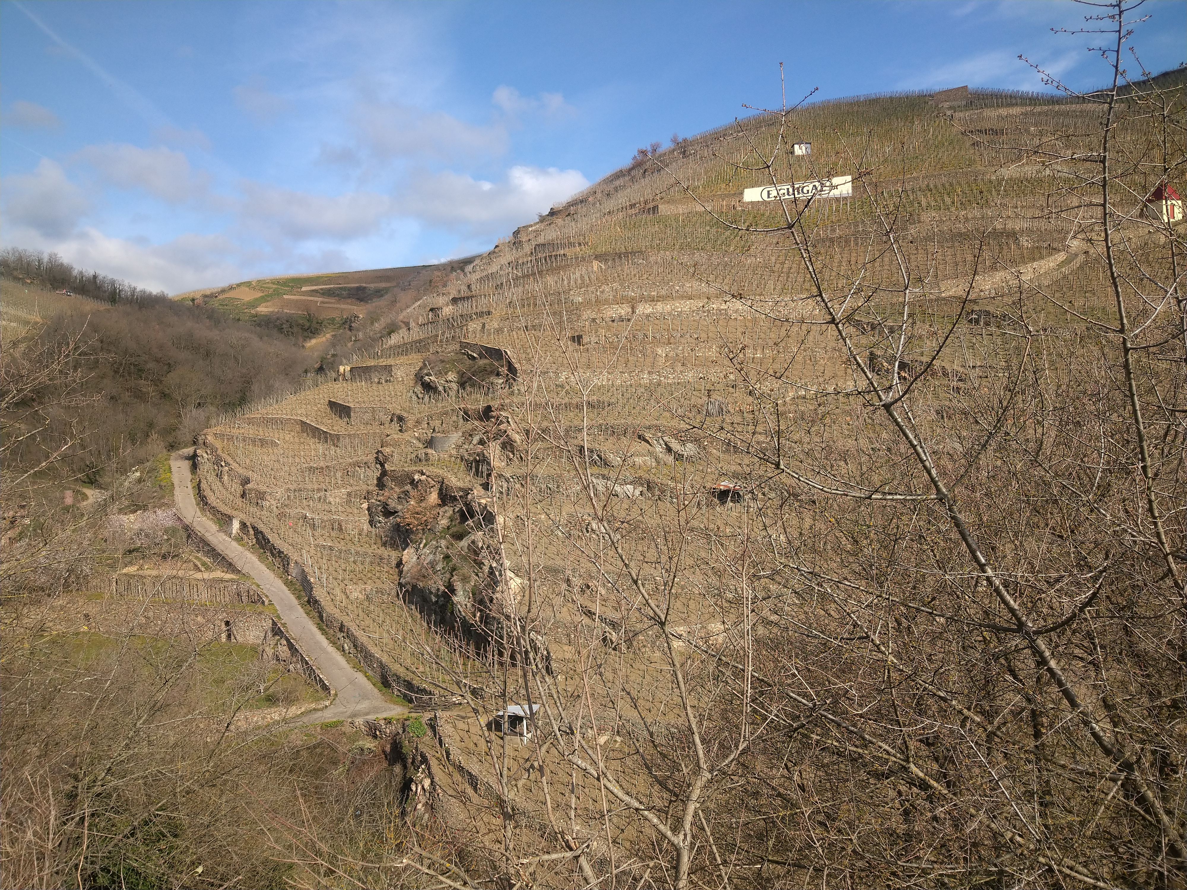Photo n° 2 de l'avis de Cymru.o fait le 21/03/2023 à 11:55