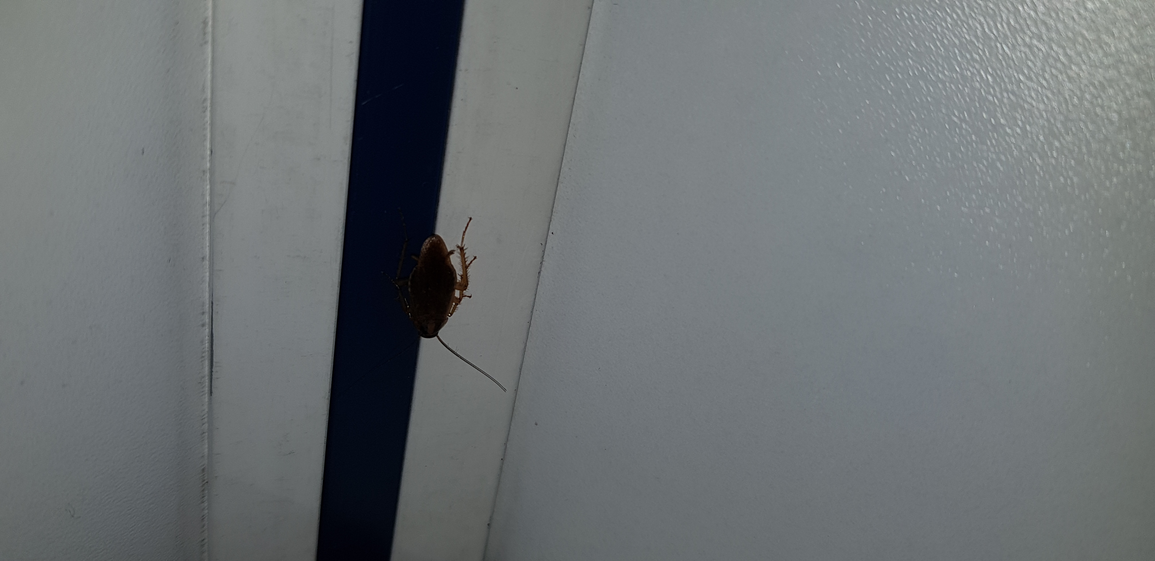 Photo n° 2 de l'avis de Cok.a fait le 18/08/2018 à 11:01