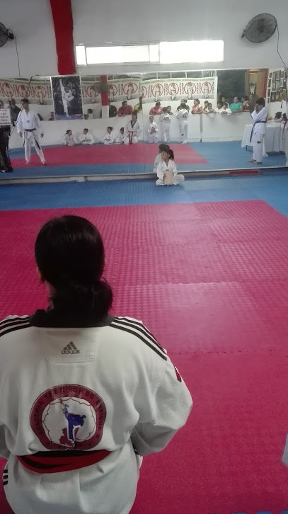 Enrique,s Taekwondo - Sur 2, Las Cumbres, 88740 Reynosa, Tamps., Mexico