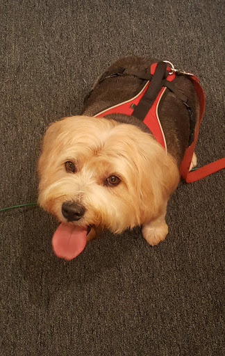 Pet Store «Tatnuck Pet», reviews and photos, 1102 Pleasant St, Worcester, MA 01602, USA