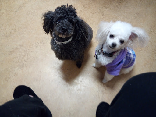 Dr. Beverly Silkey, DVM. image