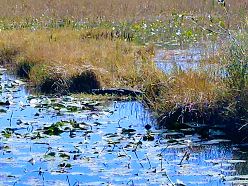 Nature Preserve «Chapel Trail Nature Preserve», reviews and photos, 19800 Sheridan St, Fort Lauderdale, FL 33332, USA