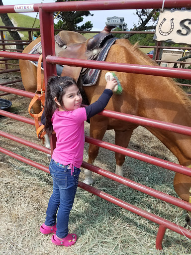Horse Boarding Stable «Green Acres Beach & Trail Rides», reviews and photos, 5985 Pacific Ave, Cloverdale, OR 97112, USA