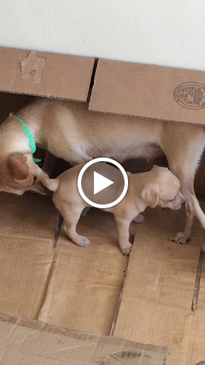 Department Store «Marshalls», reviews and photos, 1431 NY-300, Newburgh, NY 12550, USA