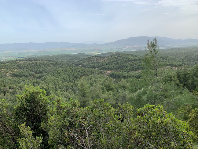 Άλσος Μοσχοποδίου