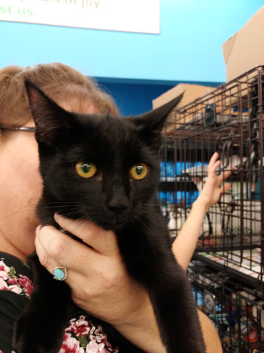 Pet Supply Store «Pet Supplies Plus», reviews and photos, 254 S Illinois Ave, Oak Ridge, TN 37830, USA