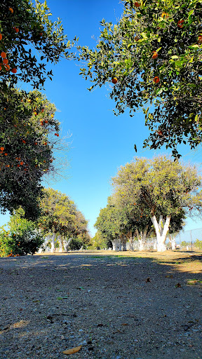 Orange Grove RV Park & Resort image