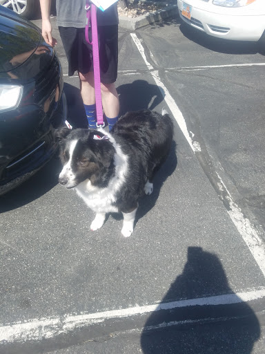 Pet Supply Store «Petco Animal Supplies», reviews and photos, 11639 S Pkwy Plaza Dr, South Jordan, UT 84095, USA