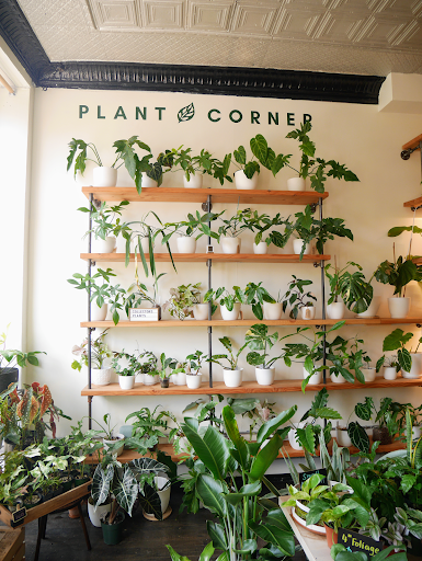 Plant Corner NYC image 8