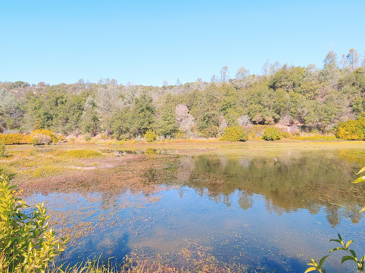 Nature Preserve «Black Swan Trail», reviews and photos, Mooney Flat Rd, Smartsville, CA 95977, USA