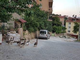 Barla Kültür Eğitim Vakfı