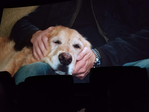 Movie Theater «Cinemark Christiana and XD», reviews and photos, 1200 Christiana Mall, Newark, DE 19702, USA