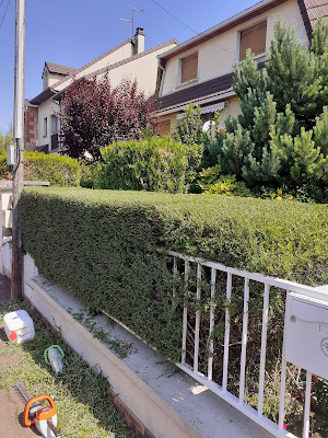 Elagueur jardinier paysagiste paul Drancy 93 taille de haies abattage pose de pelouse devis gratuit à Drancy