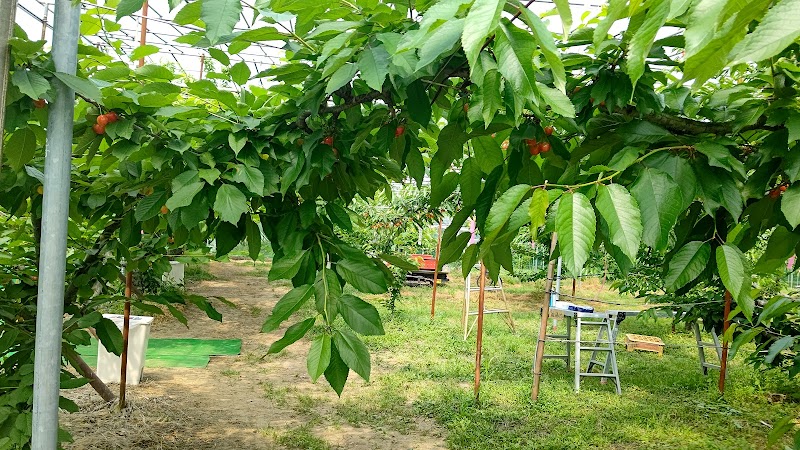 松下農園