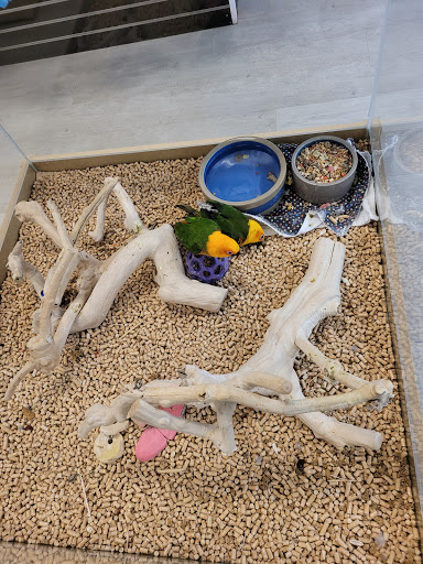 Pet Store «Petland Topeka», reviews and photos, 1801 SW Wanamaker Rd, Topeka, KS 66614, USA