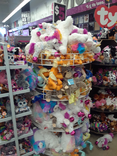 Variety Store «Five Below», reviews and photos, 255 Grossman Dr, Braintree, MA 02184, USA