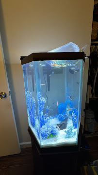 Buena Park Aquatics - Photo 3 - Car repair in Buena Park, CA, Fullerton