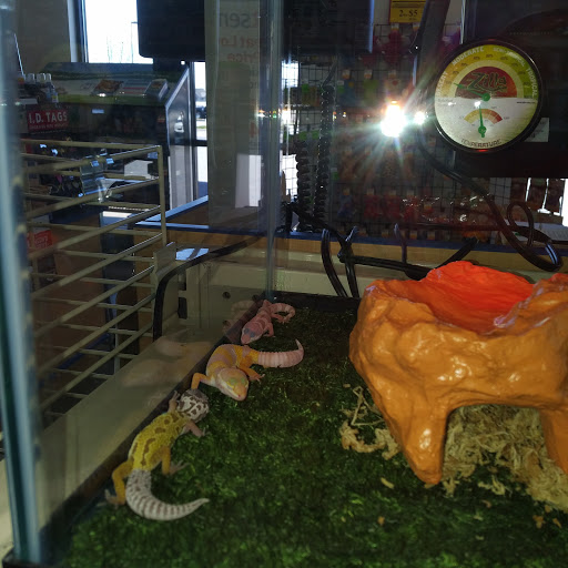 Pet Supply Store «Petsense Georgetown», reviews and photos, 112 Marketplace Cir, Georgetown, KY 40324, USA