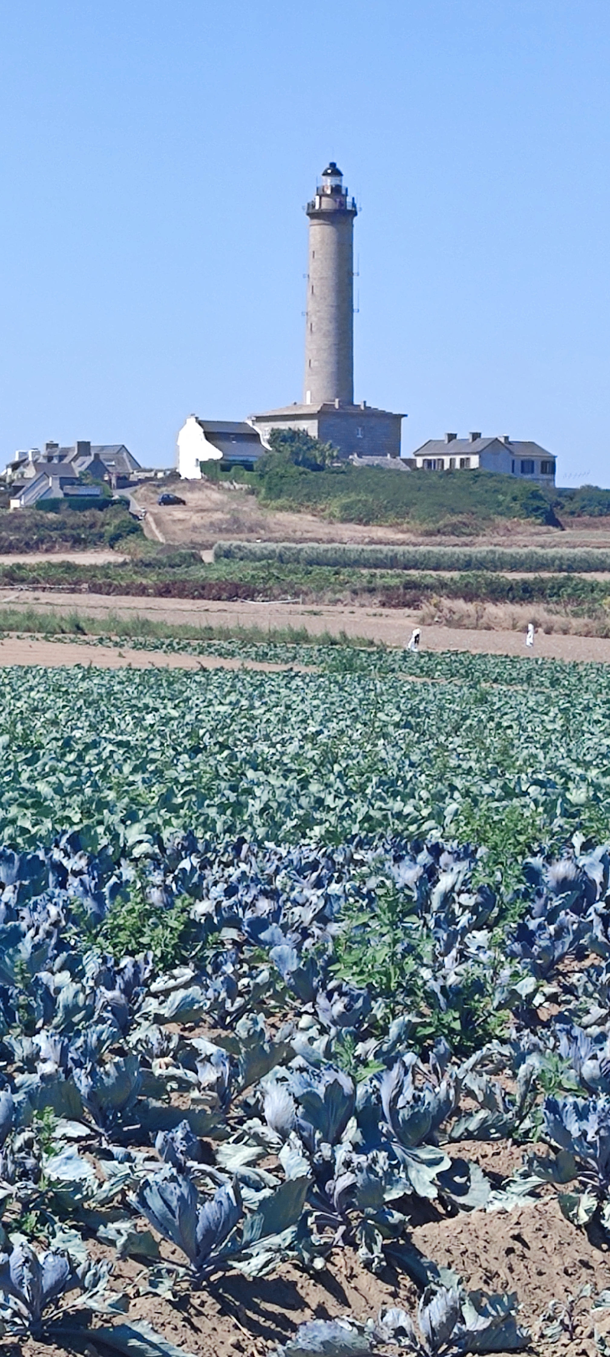 Photo n° 1 de l'avis de Fabienne.a fait le 11/08/2022 à 18:57