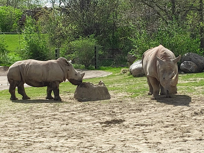 African Rhino Exhibit