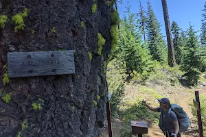 Pacific Crest Trail OR-CA State Line image