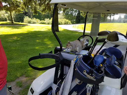 Golf Course «Foster Golf Links», reviews and photos, 13500 Interurban Ave S, Tukwila, WA 98168, USA