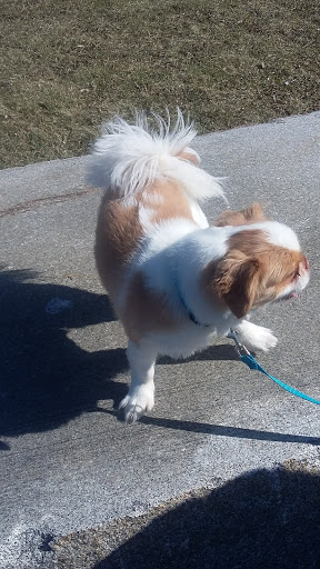 Park «Mutual Riverfront Park», reviews and photos, 41 Hamburg St, Buffalo, NY 14204, USA