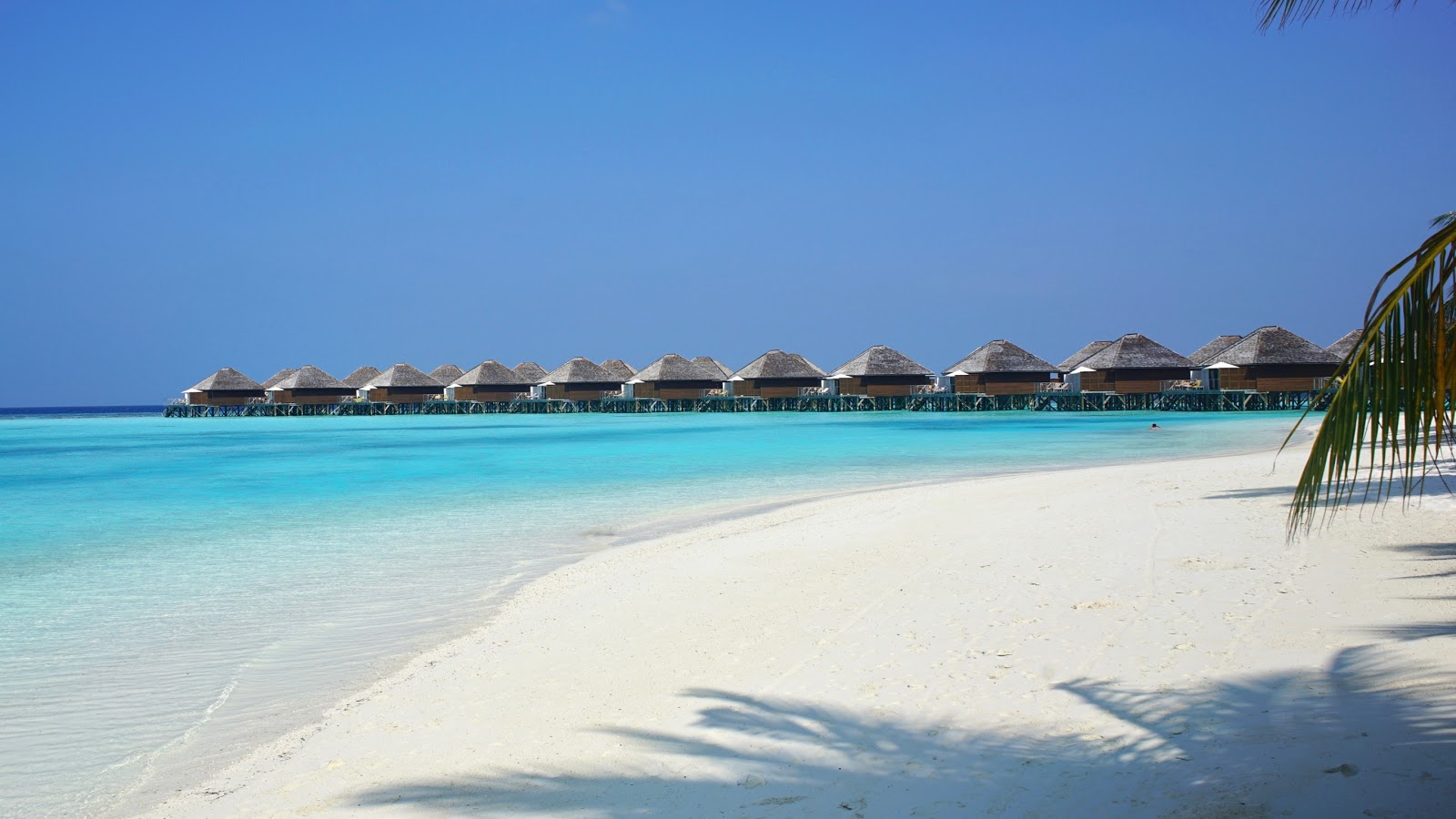 Foto von Nova Resort Maldives und die siedlung