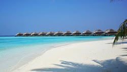 Foto von Nova Resort Maldives und die siedlung