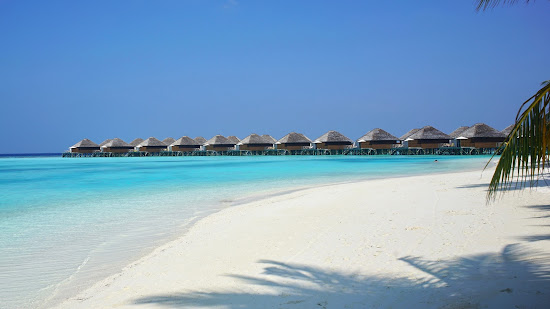 Nova Resort Maldives