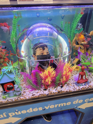 Pet Supply Store «Petco Animal Supplies», reviews and photos, 2842 NW 63rd St, Oklahoma City, OK 73116, USA