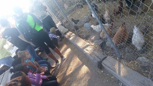 Zoo «Jr Pony Parties», reviews and photos, 1744 N Leonard Ln, Las Vegas, NV 89108, USA