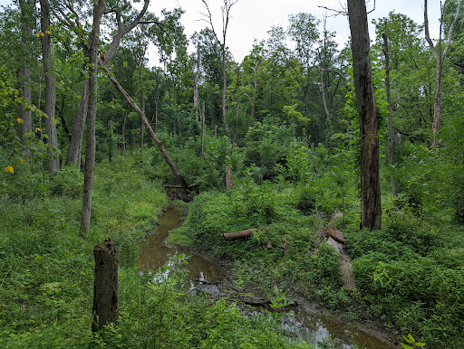 Nature Preserve «Cook County Forest Preserve», reviews and photos, 1700 N Quentin Rd, Palatine, IL 60074, USA