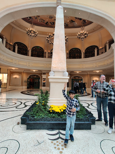 Amusement Center «Sky Zone Trampoline Park», reviews and photos, 7440 Dean Martin Dr #201, Las Vegas, NV 89139, USA