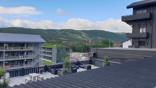 Highland Lodge Lienvegen 11, 3580 Geilo, Norge