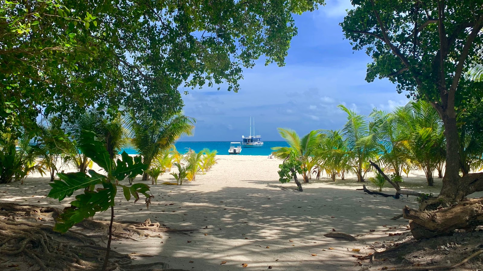 Fulidhoo Thundi Beach photo #8