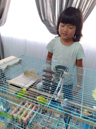 Pet Supply Store «PetSmart», reviews and photos, 12483 Limonite Ave, Mira Loma, CA 91752, USA