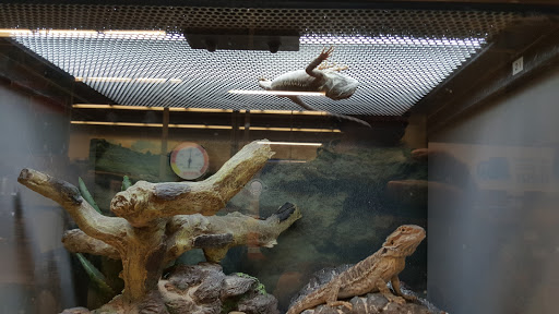 Pet Supply Store «Petco Animal Supplies», reviews and photos, 1429 W Pacheco Blvd, Los Banos, CA 93635, USA