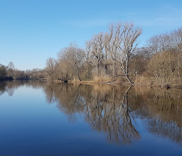 Zündorfer Groov photo