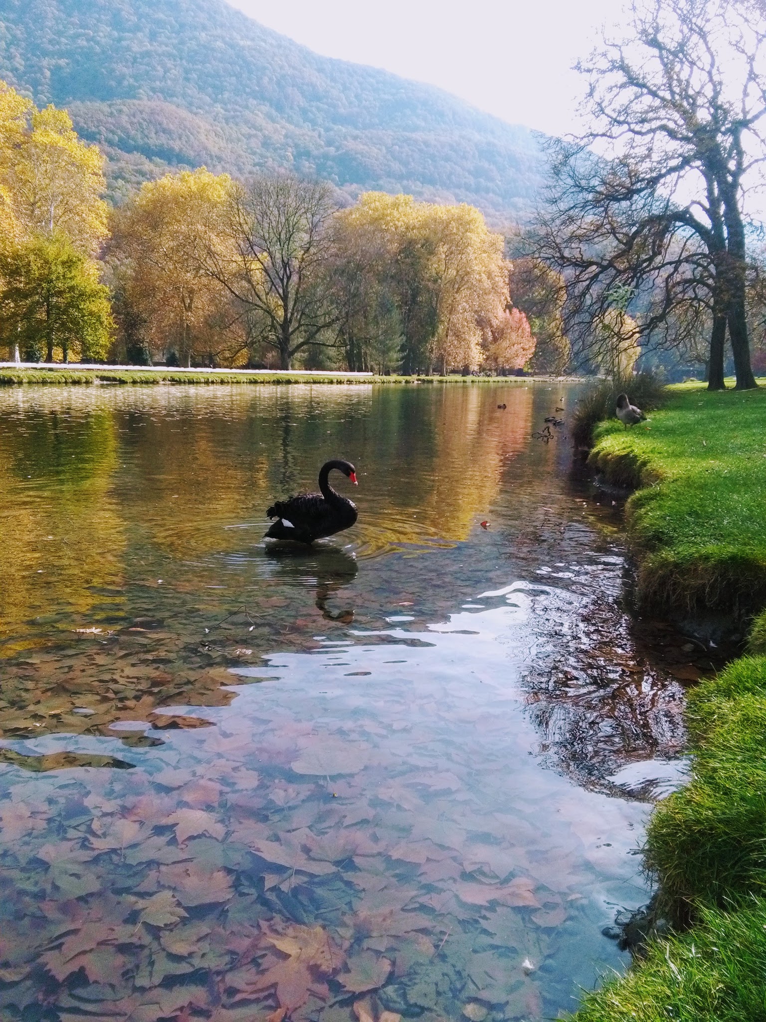 Photo n° 5 de l'avis de Mouna.a fait le 29/12/2017 à 16:30