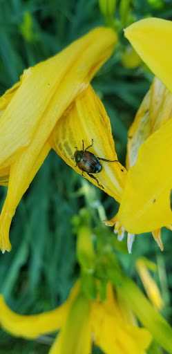 Park «Mather Woods Forest Preserve», reviews and photos, 25032 W Renwick Rd, Plainfield, IL 60544, USA