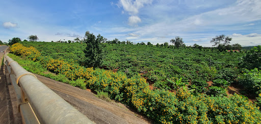 Đường Tránh Pleiku