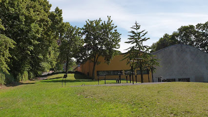 Roskilde Gymnasium Idrætshuset