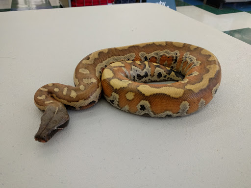 Pet Supply Store «Petco Animal Supplies», reviews and photos, 825 Brevard Rd, Asheville, NC 28806, USA