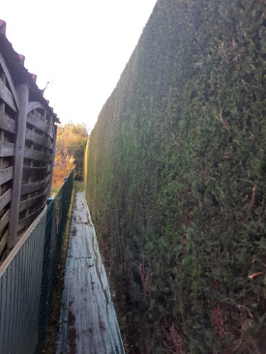 Opinii despre Les jardins de Mazan în Pau - Paysagiste